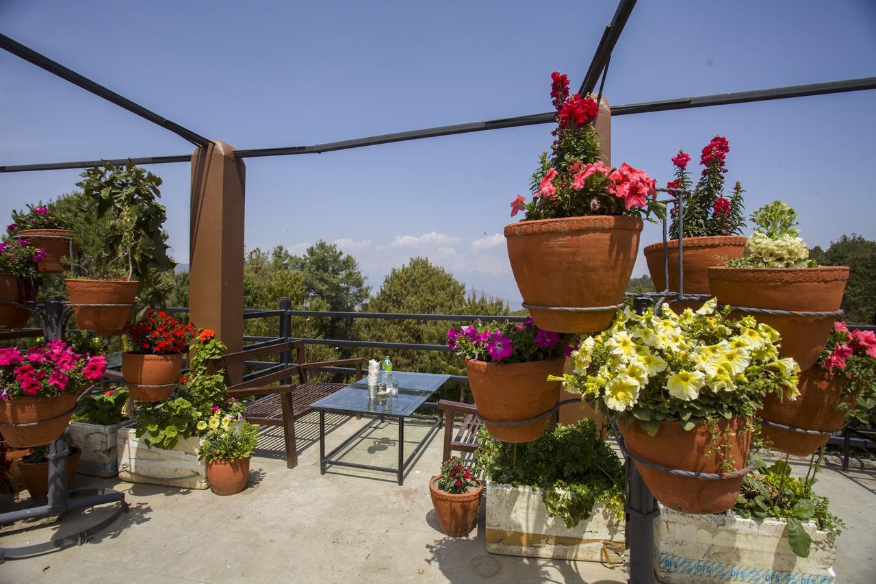 Langtang View Nagarkot Bed And Breakfast Exteriör bild